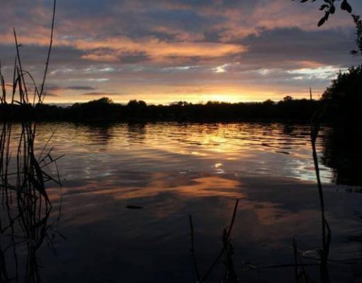 Lough Sheelin's Golden Hour