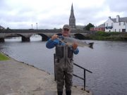 Almost 600 salmon caught on River Moy!