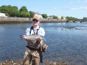 River Moy: Salmon fishing slower than in previous weeks. Yet over 300 fish reported!