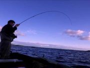 Irish Angling Update – 06 July 2017 Bent into a trout