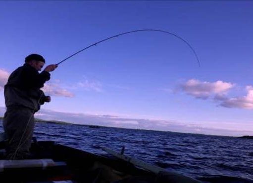 Bent into a trout