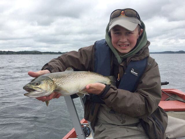 Stephen Coulter on Owel