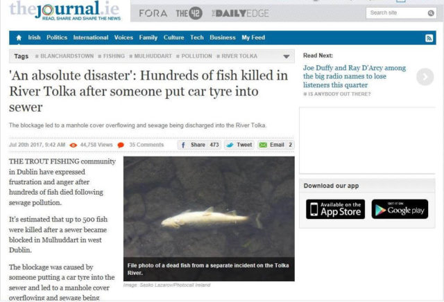 thejournal.ie