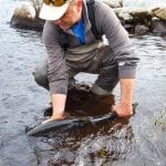 Fermoyle Catch & Release