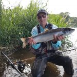 Fly caught Boyne salmon