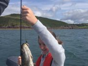 Cork Harbour pollack on fly – great day out for young anglers Georgia Zeolla