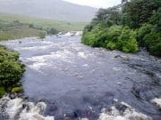 Fantastic salmon fishing on the Erriff A nice flood on Beat 9 of the Erriff