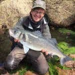 Irish Bass Festival 2017 3
