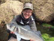 Excellent catches during Irish Bass Festival 2017