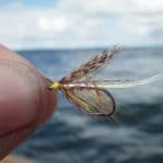 The SIlver Invicta – an excellent day time fly for Sheelin