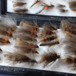 Sedge patterns for Sheelin