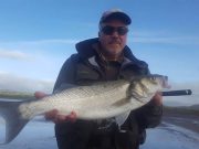 Good autumn bass fishing reported from Kerry venues bass