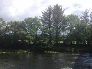 Yoyo water levels but some good salmon on the Bandon Bandon