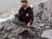 Luck of the Italians – bass anglers do well in Wexford Matt with bass