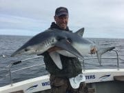 Wicklow Boat Charters shark season off to a flying start Daniel O Kelly with his 85lb Blue Shark.