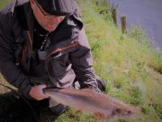 Some fine salmon catches on the Munster Blackwater recently