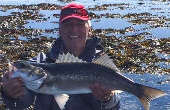 Welsh visitors get the tides right for Wexford bass A fine Wexford bass caught by one of a party of Welsh anglers on their annual visit