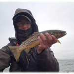 August & early September is all about the sedge for Lough Sheelin’s dry fly purists