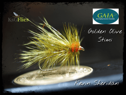 Golden Olive Stimi