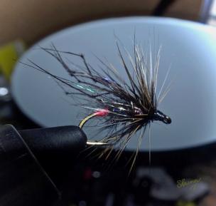 Sid Rainey's Hopper fly