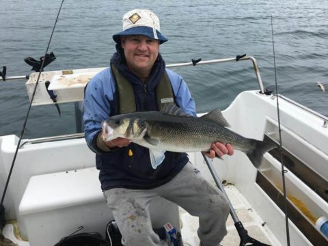 bass