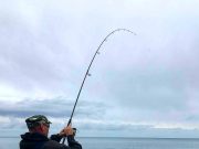 Irish Angling Update 05 October 2017 playing a bass