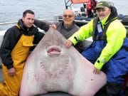 Sean wins Helm Skate Festival with record-breaking fish From Left; "True Light" skipper Gerard O'Malley, Bob Gawn, Isle of Wight and Phil Skinner, Dublin.