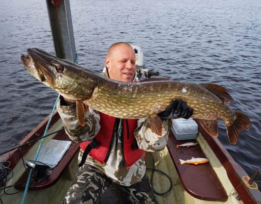 Great pike fishing for German anglers in Longford area Rene Bieniek with a cracker of 106 cm