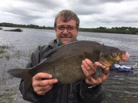 Bream