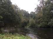 Poor salmon fishing reported from Bandon and West Cork River Bandon