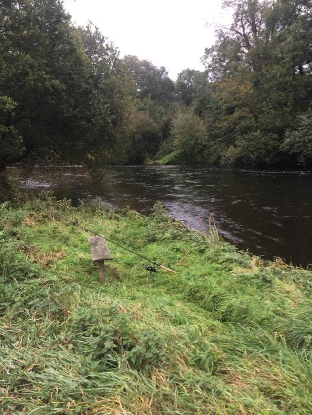 River Bandon