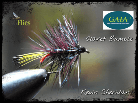 Claret Bumble - Kevin Sheridan
