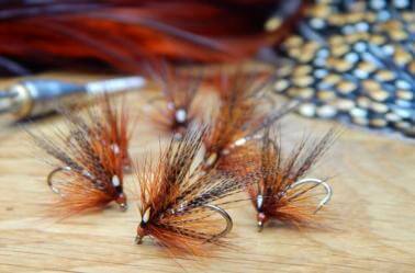 Paul Caslin's Fiery Brown & Silver Combo