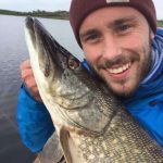 Pike