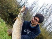 Belgian anglers have a great week at Melview Fishing Lodge Baptiste with a nice Pike