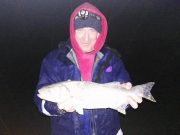 Bass