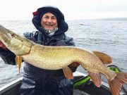 Pike fishing quiet on Lower Shannon but anglers happy to be out One of Pierre Monjarret clients with a Pike caught on Lough Derg recently (Pierre Monjarret, 2017)