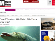 Could ‘Smoked Wild Irish Pike’ be a win-win? The Mayo News Could ‘Smoked Wild Irish Pike’ be a win-win?