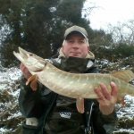 Pike