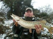 pike