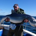 BEST SHARK, Dan O Kelly, Blue 100lb, 1.88M
