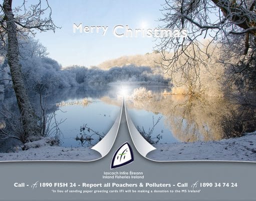 Irish Angling Update – 21 December 2017