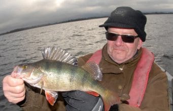 Perch mania setting in on Ennell and Derravaragh Perch