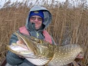 Some good pike reports from the Midlands Marty pike