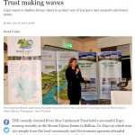 Irish Times 181217