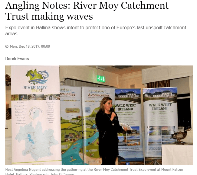 Irish Times 181217 Image of article