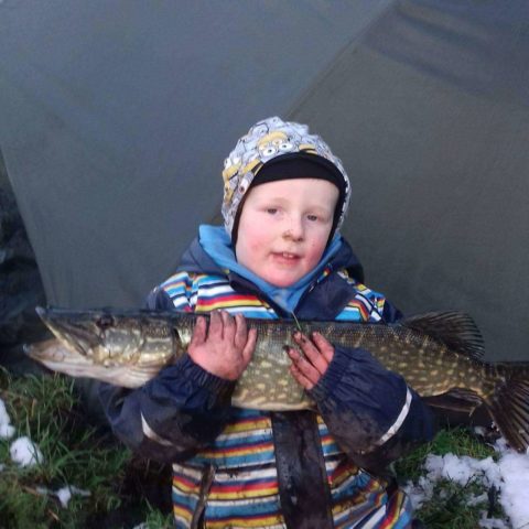 pike