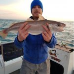tigger-whiting