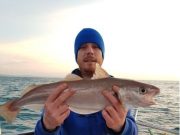 Specimen whiting mark the end of 2017 on board Tigger Whiting