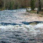 River Drowes